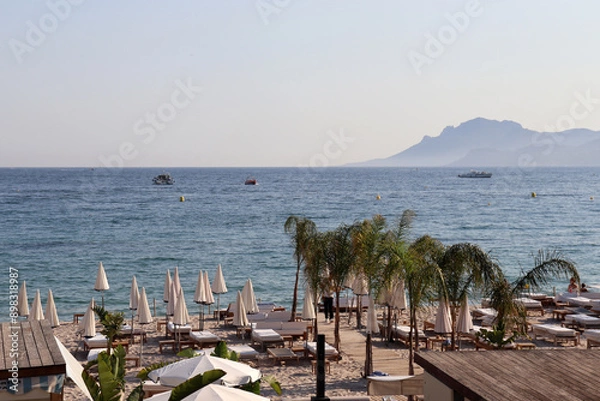 Fototapeta Parasols and palm trees on the beach at La Croisette in Cannes in the south of France with mountains in the background