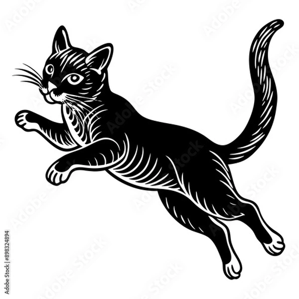 Obraz cat Vector