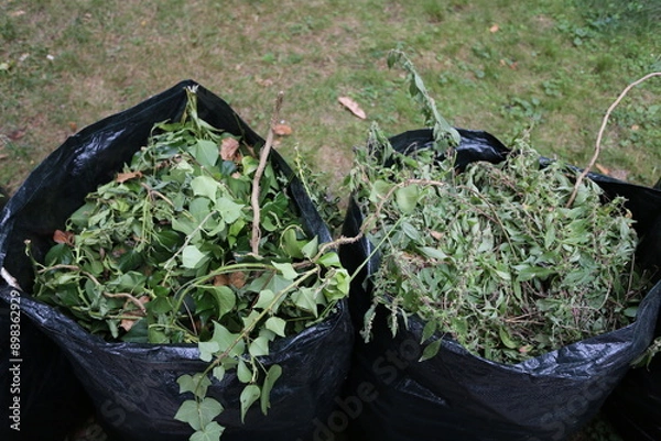 Obraz Déchets verts dans des sacs