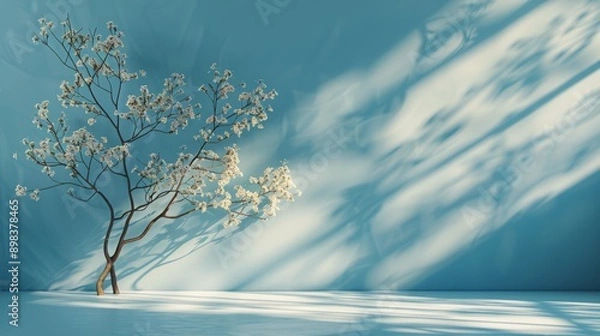 Fototapeta Tree Casting Shadow on Wall