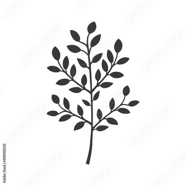 Fototapeta Silhouette of a Branch with Many Leaves