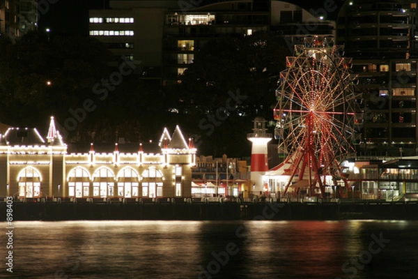 Obraz ferry wheel at night