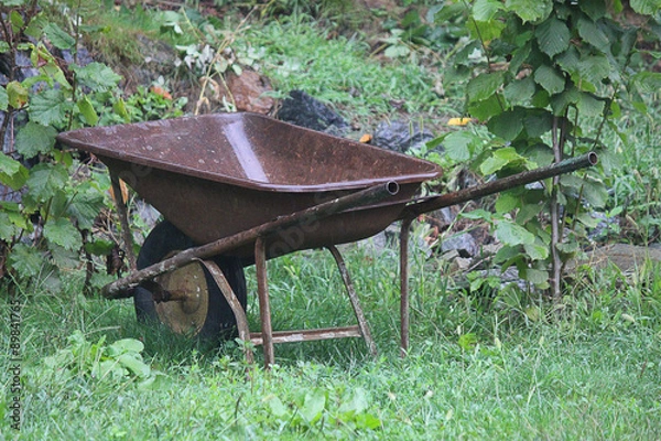 Fototapeta wheelbarrow under the rain