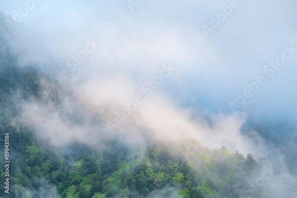 Fototapeta 山の風景