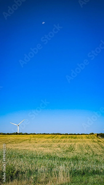 Fototapeta Wind and moon 
