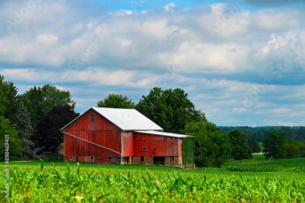 Fototapeta red barn in the field
