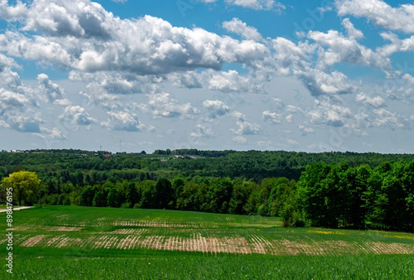 Fototapeta landscape with sky