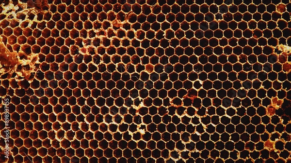 Fototapeta Honeycomb pattern background. Natural bee nests.
