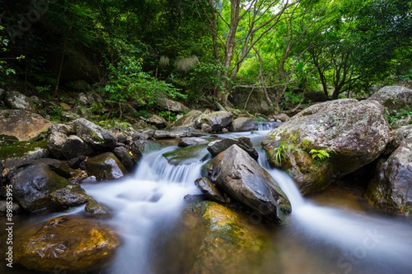 Obraz mountain stream