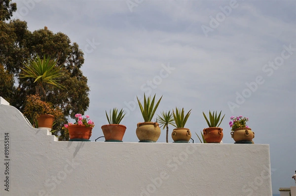 Obraz Photography of flowerpots on a wall in a sunny day