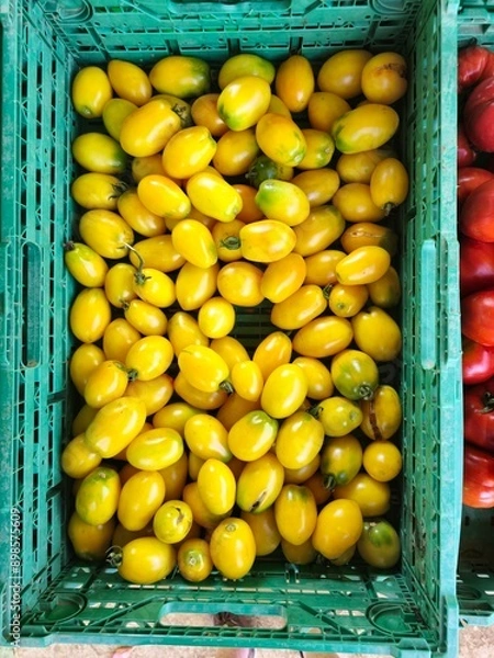 Fototapeta Tétons 1