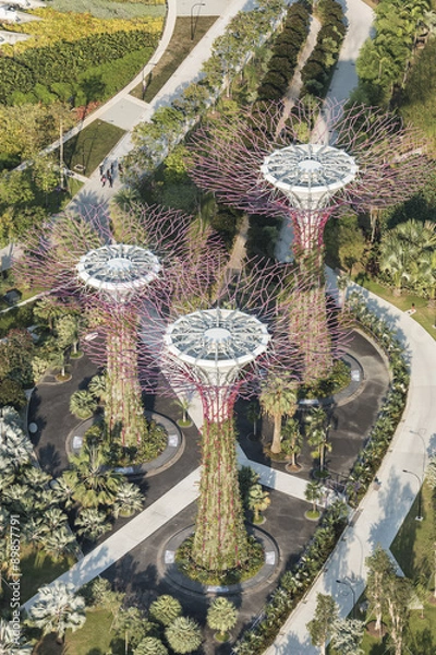 Fototapeta Super trees Grove at Gardens by the Bay