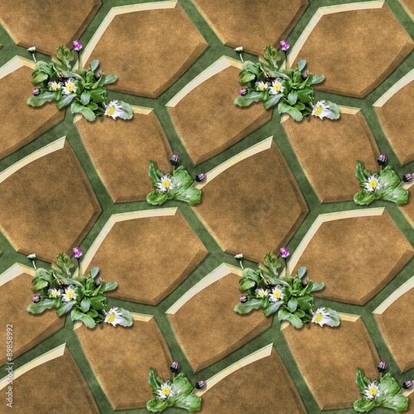 Fototapeta Seamless relief pavement pattern of brown polygonal stones and daisies