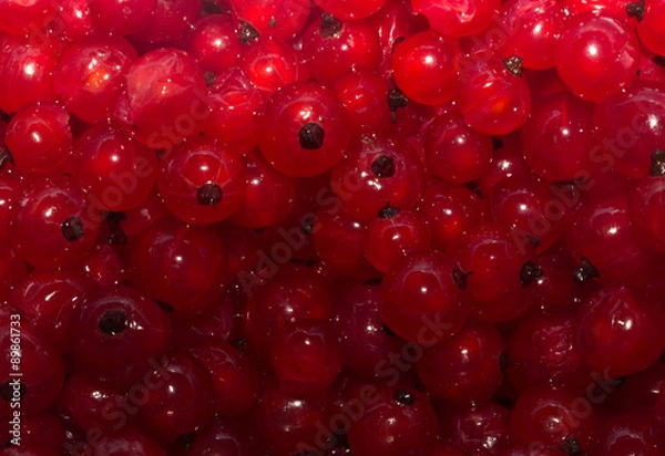 Fototapeta red currants