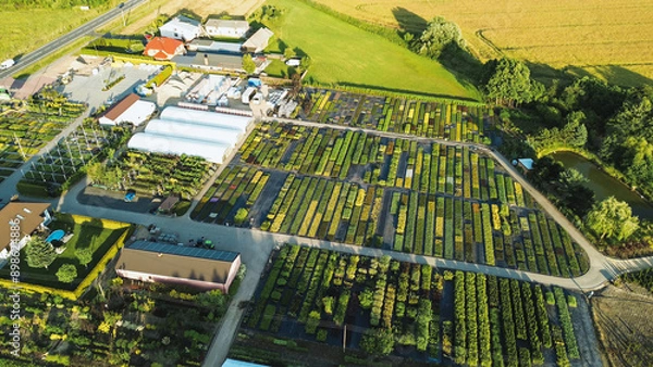 Fototapeta Aerial view of growers plant sections