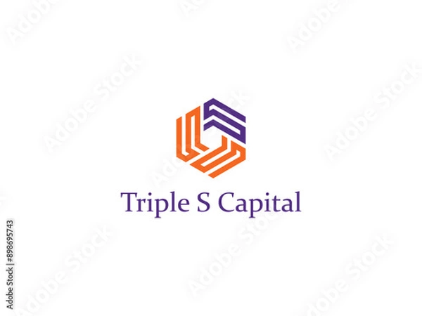 Obraz Triple s capital logo design