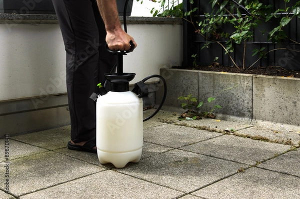 Obraz Man pumping compression sprayer for spraying.
