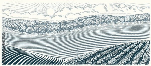 Fototapeta Rural landscape with hills, agriculture field and gardens, illustration hand-drawn in the graphic style. Vector landscape.