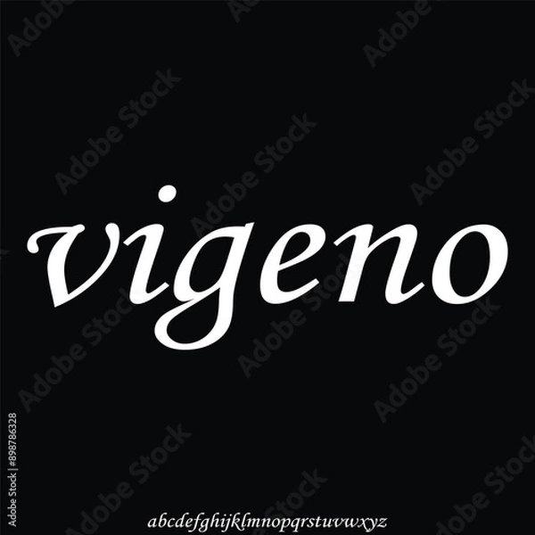 Fototapeta serif modern alphabet font vector
