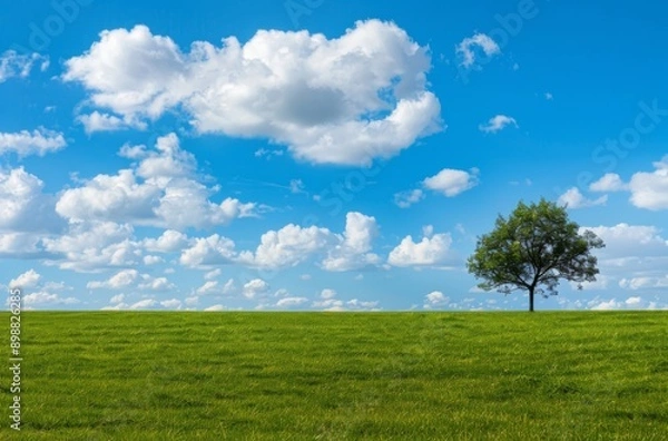 Fototapeta  a Blue Sky with White Clouds, Green Grassy Field, and a Single Tree in the Upper Right Corner