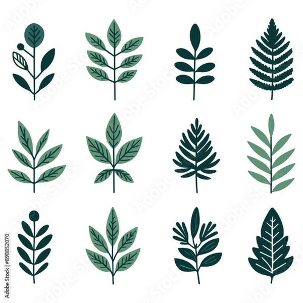Obraz Leaf Set 3