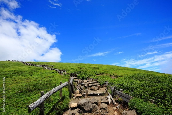 Fototapeta 夏の八甲田山　赤倉岳の稜線