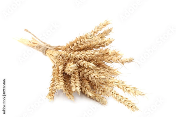 Fototapeta Sheaf of wheat ears on white background.