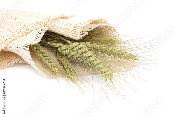 Fototapeta Sheaf of wheat ears on white background.
