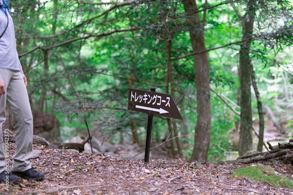 Obraz トレッキングコース