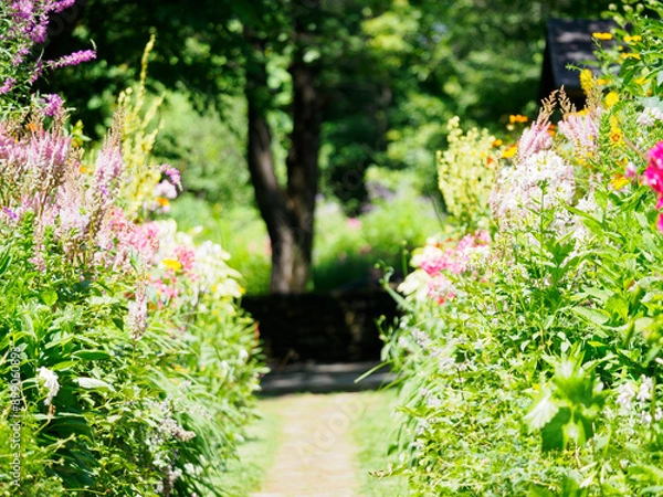 Obraz 秘密の花園