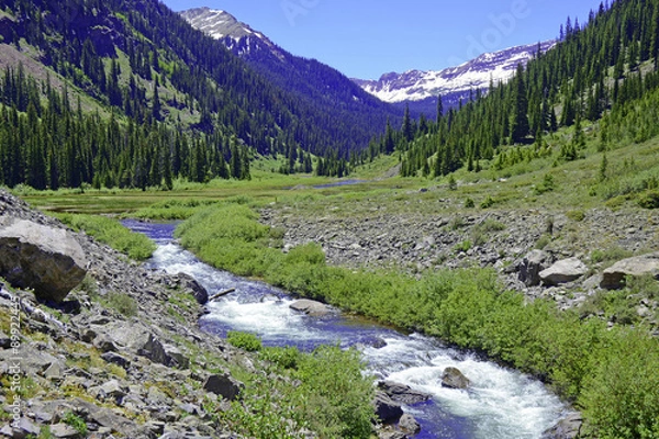 Fototapeta Alpine landscape with fly fishing stream in the Elk Range, Rocky Mountains, Colorado