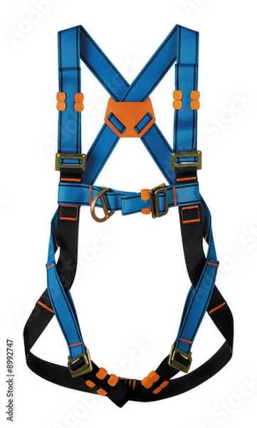 Obraz harness