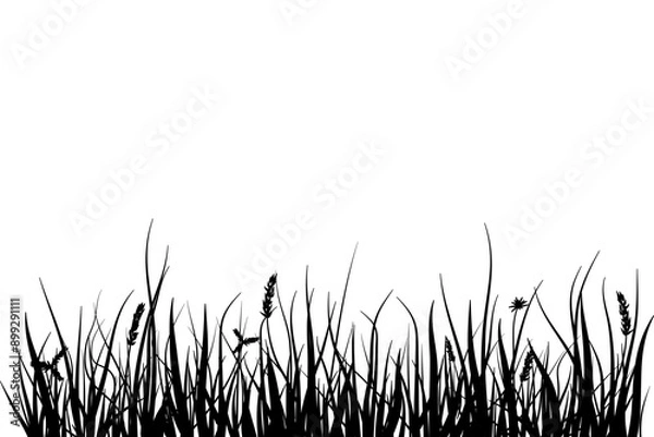 Fototapeta meadow silhouette with long grass