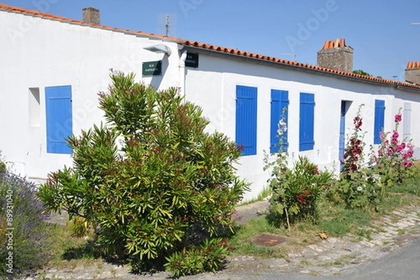 Obraz Les maisons typique de l'ile d'Aix 3