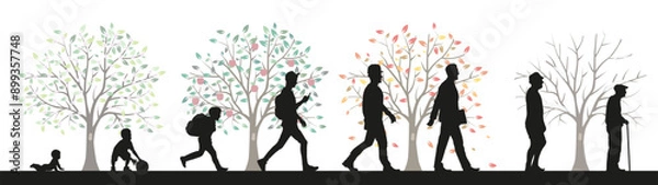 Fototapeta Men, stages of development. Life from birth to old age. A symbol from spring to winter.