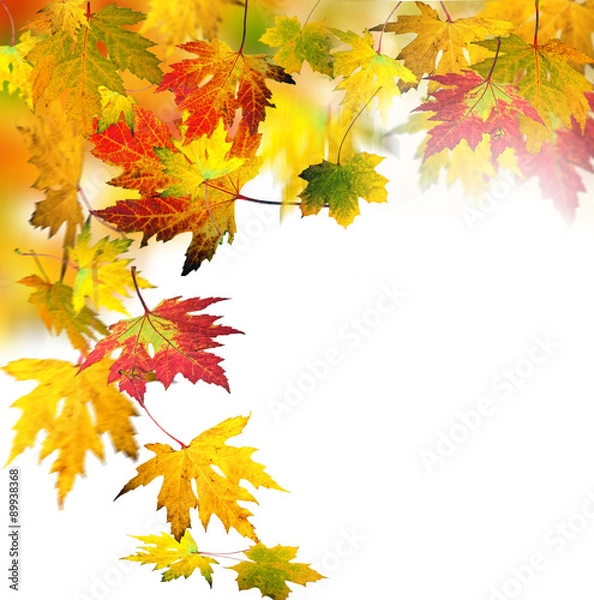 Obraz Goldener Herbst: Fallende, bunte Blätter :)