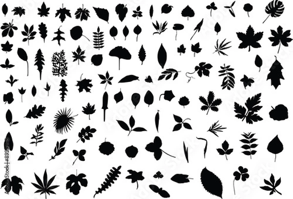 Obraz A hundred silhouettes of different leaves