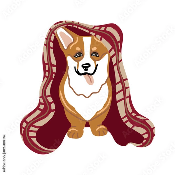 Fototapeta Vector isolated element. Corgi dog. Autumn time. A dog with a blanket. Color image on a white background. The print is used for packaging design.