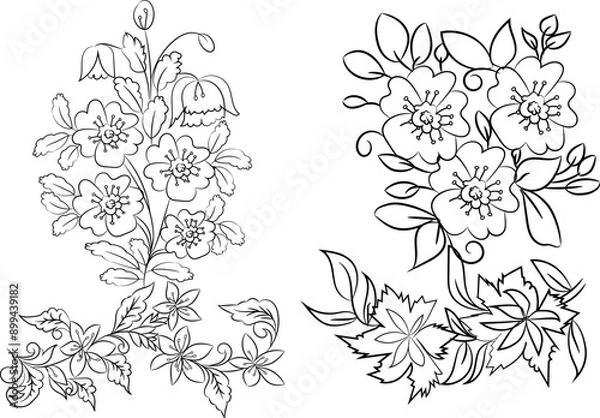 Fototapeta Hand-drawn simple blooming apple tree flower outline