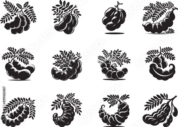 Obraz Tamarind Fruit Silhouette Vector Illustration