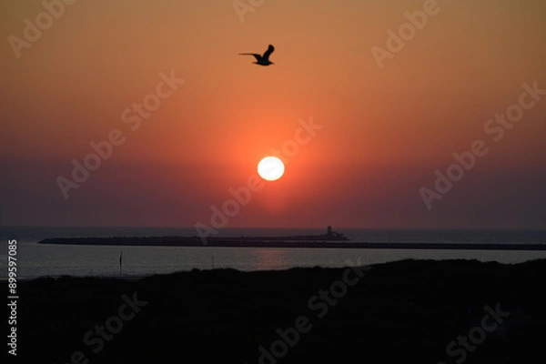 Obraz sunset on the beach