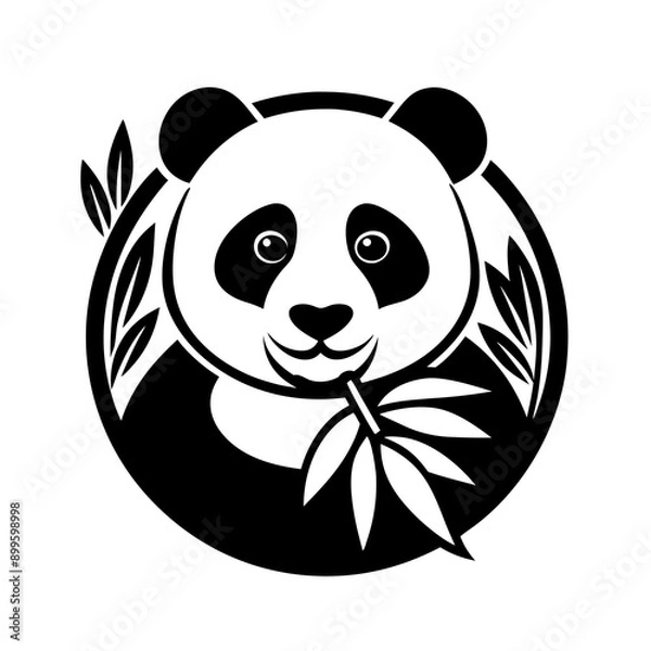 Fototapeta panda bear Vector