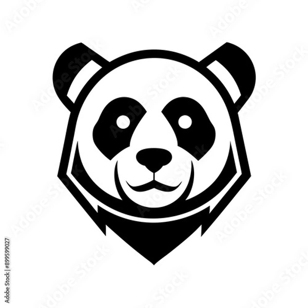 Fototapeta panda bear Vector