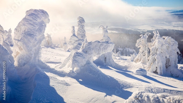 Fototapeta landscape with trees in the mountains