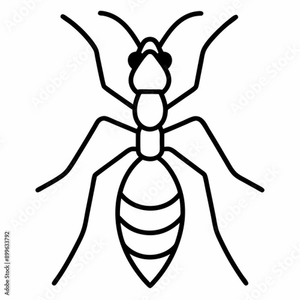 Fototapeta Ant Vector