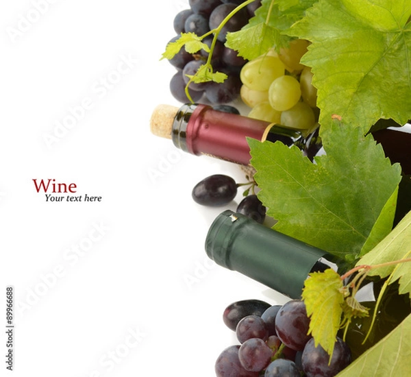 Obraz Wine and white grapes