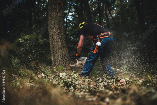 Fototapeta Close-up of woodcutter sawing chain saw in motion, sawdust fly to sides. Chainsaw in motion. Hard wood working in forest. Sawdust fly around. Firewood processing. Forest industry.