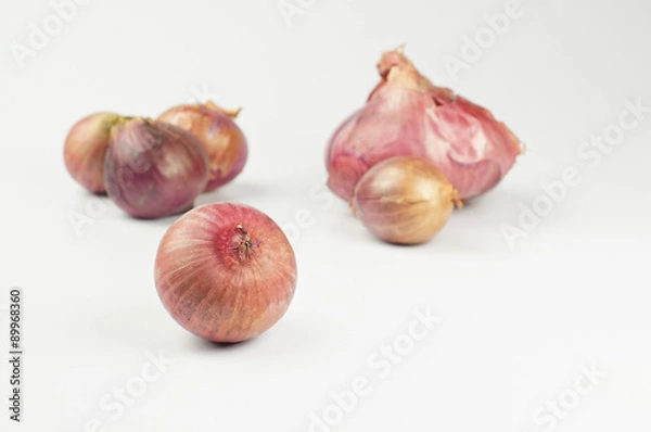 Obraz Red Onions