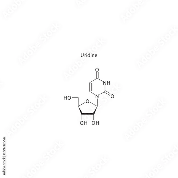 Fototapeta Uridine skeletal structure schematic illustration, Nucleoside molecule.
