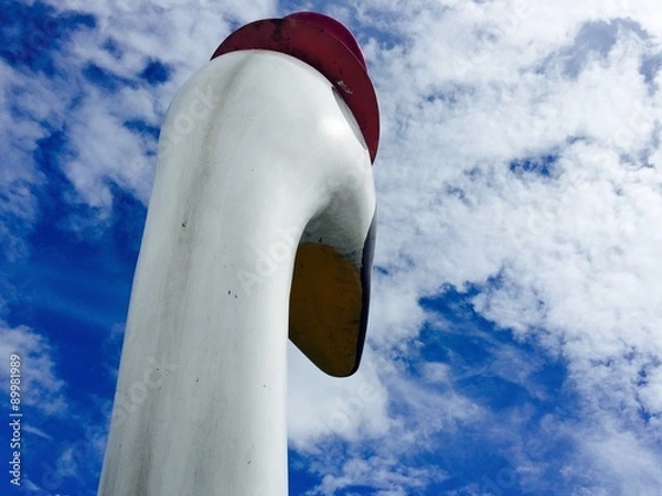 Fototapeta スワンボート